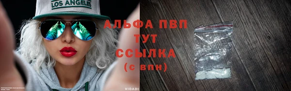 крисы Надым