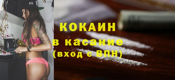 крисы Надым