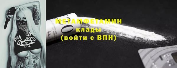 трава Наволоки