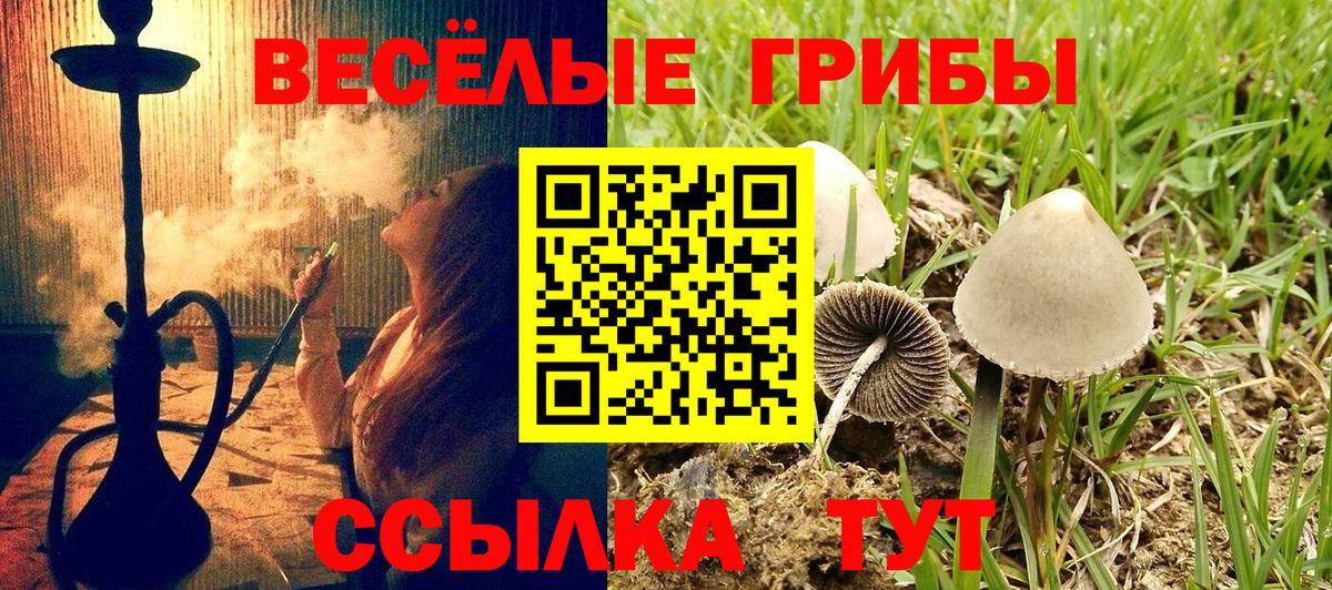 Нягань  хочу наркоту  Вход с VPN  Галлюциногенные грибы Cubensis 